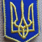 Ukraina: hihamerkki - pikkukuva 1