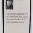 Heikki Hemminki : Kiiltomadon testamentti - pikkukuva 2