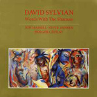 DAVID SYLVIAN - Words with the Shaman v.1985 - pikkukuva 1