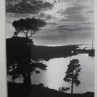 Åland, Svibyviken 1928, mv vkpk, p. 1956 -> Ruotsiin - pikkukuva 1