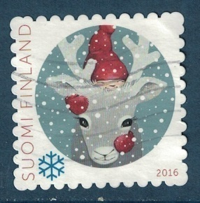 Joulu 2016, poron naama, siisti