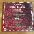 Darlene Love – Introducing Darlene Love 2LP - pikkukuva 2