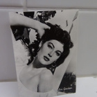 AVA  GARDNER  VALOKUVA - pikkukuva 1
