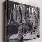 Veikko Salmela : Kivimies - pikkukuva 1