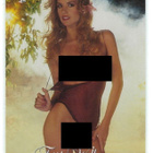 2003 Playboy Playmate of the Year #44 Terri Welles - pikkukuva 1