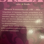 MICHAEL TANNER: SCHOPENHAUER - pikkukuva 2