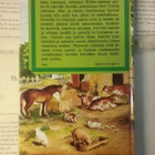 Laura Ingalls Wilder - Farmarin lapset (sid.) - pikkukuva 2