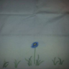 Valkoinen verhokappa jossa ruiskaunokkeja 50x215cm - pikkukuva 4