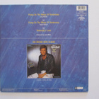 David Hasselhoff Flying On The Wings Of 12" sinkku LP - pikkukuva 2