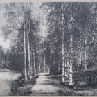 Vilppula Mänttä - pikkukuva 1