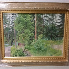Alarik Gustaf Waldemar (Ali) Munsterhjelm - pikkukuva 2
