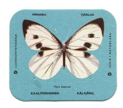 Kahvilappu KAALIPERHONEN