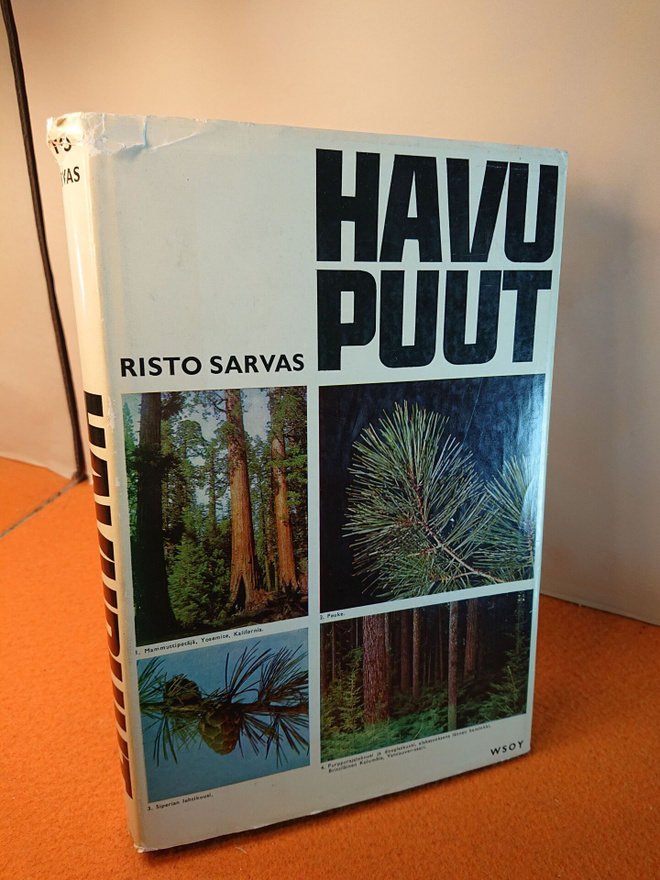 Sarvas Risto: Havupuut