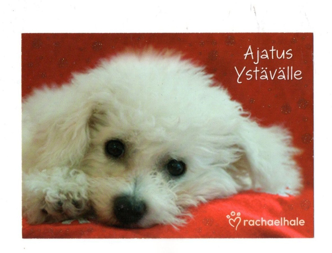 °°AJATUS YSTÄVÄLLE°° -KORTTI / Rachaelhale