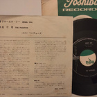 The Ventures sinkku - pikkukuva 2