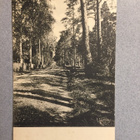 Paikkakuntakortti Loviisa kasinopuisto, 1920-30 lukua - pikkukuva 1