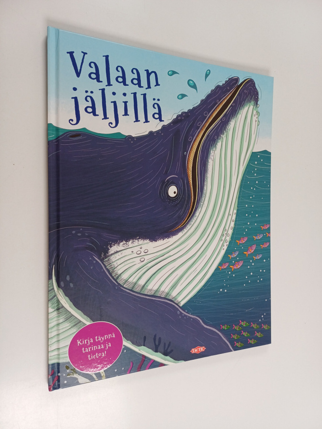 Camilla De la Bedoyere : Valaan jäljillä