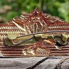 CCCR Militariamerkki 1 Luokka. Halkaisija - 66 mm. - pikkukuva 3