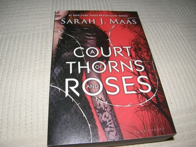 Sarah J. Maas A Court of Thorns and Roses -nid