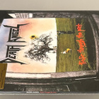 Death Angel : Frolic Through The Park - 2LP, uusi - pikkukuva 4