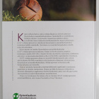 Kipinä : tarinoita yrittäjyydestä : LCCE(r)-yrittäjyyspro... - pikkukuva 2