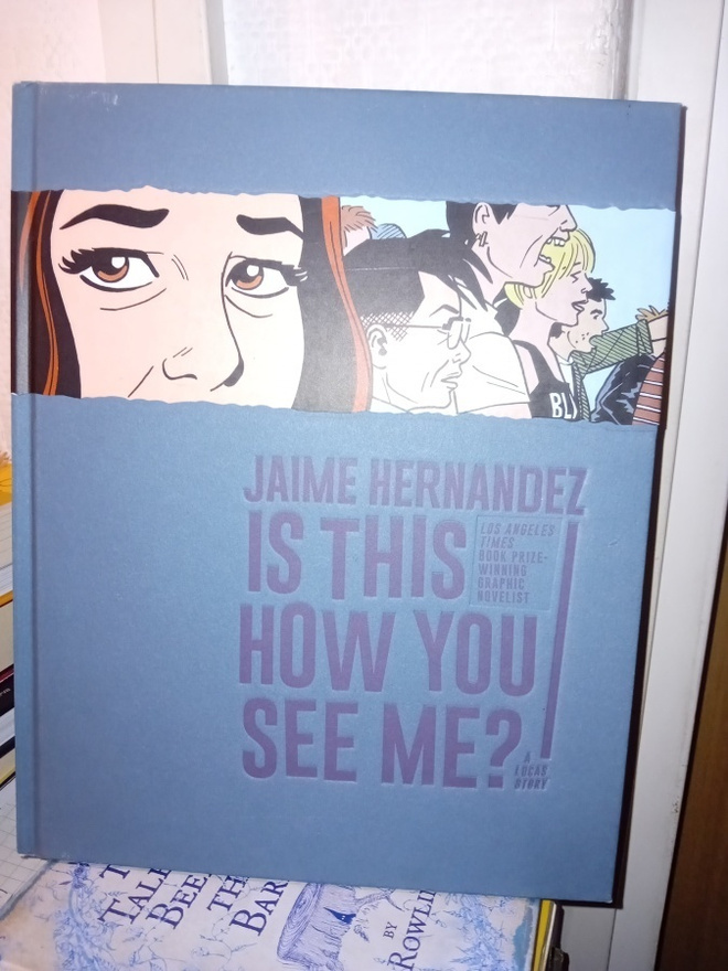 Jaime Hernandez  : Is this how you see me ? ( SIS POSTIKUL