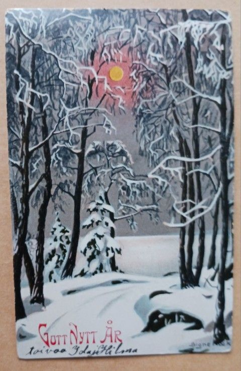 Signe Kock: Talvinen aurinko lumisessa metsässä, kulk.