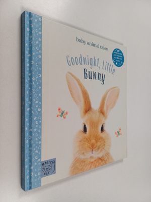 Amanda Wood : Goodnight, Little Bunny