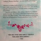 SKUGGE: PILLUPARVI - pikkukuva 3