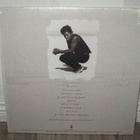 TRACY CHAPMAN Crossroads - pikkukuva 2