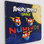 Angry birds space : Numerot - pikkukuva 1