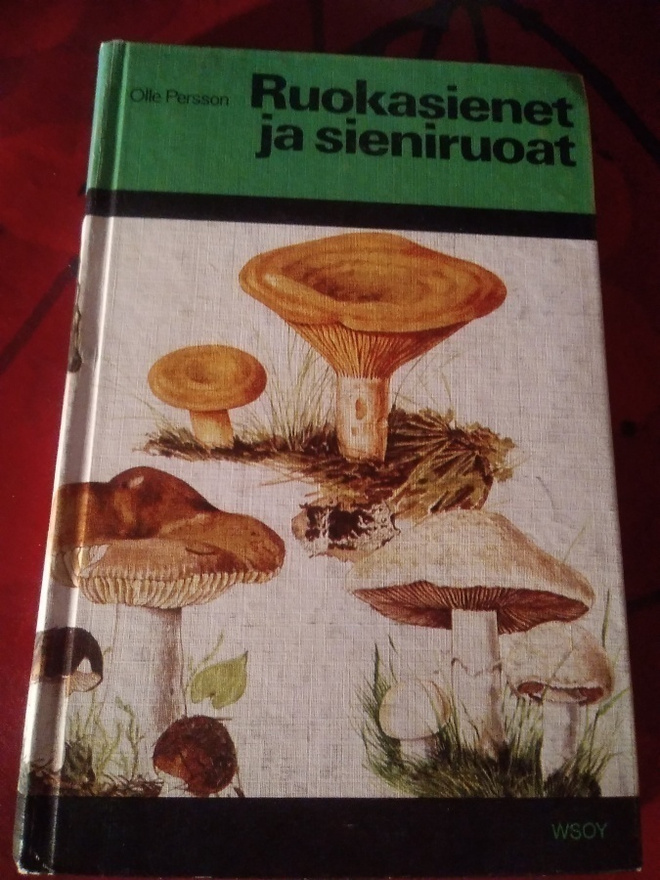 RUOKASIENET JA SIENIRUOAT : OLLE PERSSON