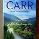 Robyn Carr:   Valoa vuorten takaa Lumen sataessa - pikkukuva 2