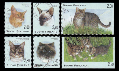 1304-9 o Kissoja (1995)