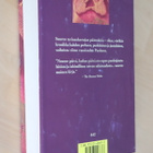 Isaac Bashevis Singer : Nousee päivä, laskee päivä (2.p. -96 - pikkukuva 2