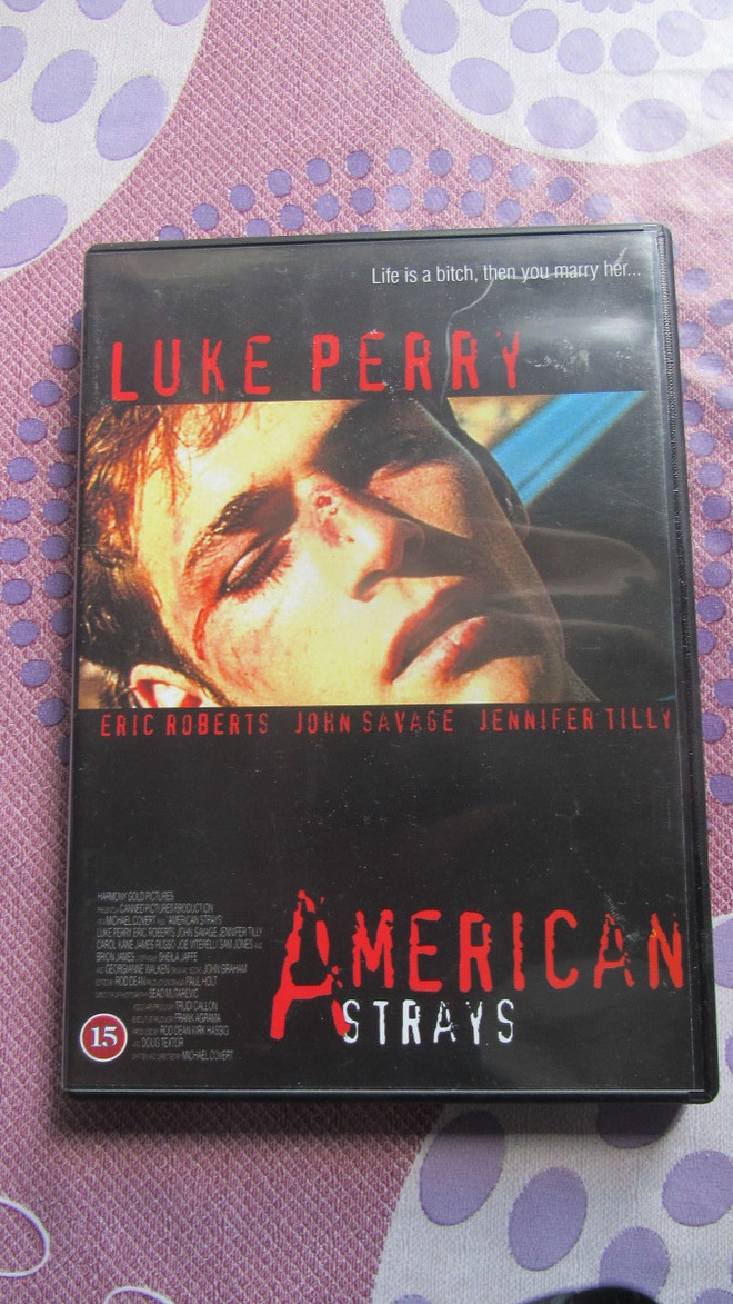 American Strays - Kohtalon Matkassa DVD