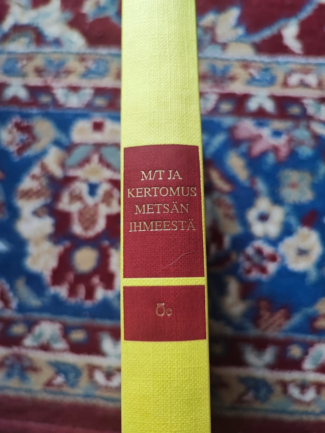Kenzaburo Oe M/T ja kertomus Metsän ihmeestä