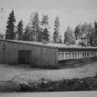 Kouvola, Pahkajärvi, 3 D:n leirialue, valokuvapk, p. 1966 - pikkukuva 1