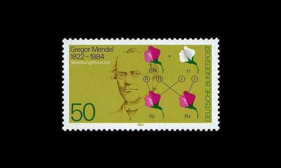 Saksa 1199 ** Gregor Mendel, genetiikka (1984)