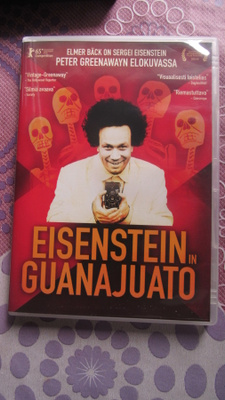 Eisenstein in Guanajuato DVD