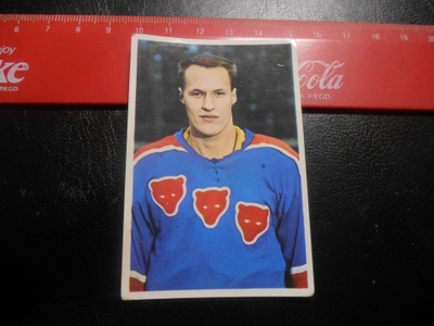 K15 Jenkki Jääkiekko-sarja  # 36 Antti Heikkilä Porin Karhut