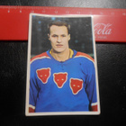 K15 Jenkki Jääkiekko-sarja  # 36 Antti Heikkilä Porin Karhut - pikkukuva 1