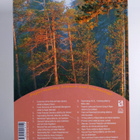 Suomen Paperi-insinöörien Yhdistys ym. : Pigment Coating ... - pikkukuva 2