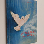 Raija-Anneli Stark-Kokko : Jeesus elää ja toimii - pikkukuva 1