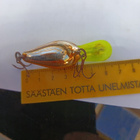 Rapala Fat Rap 4cm Finland - pikkukuva 4