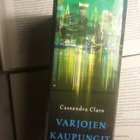 Cassandra Clare - Varjojen kaupungit I-III, IV-VI (sid.) - pikkukuva 4
