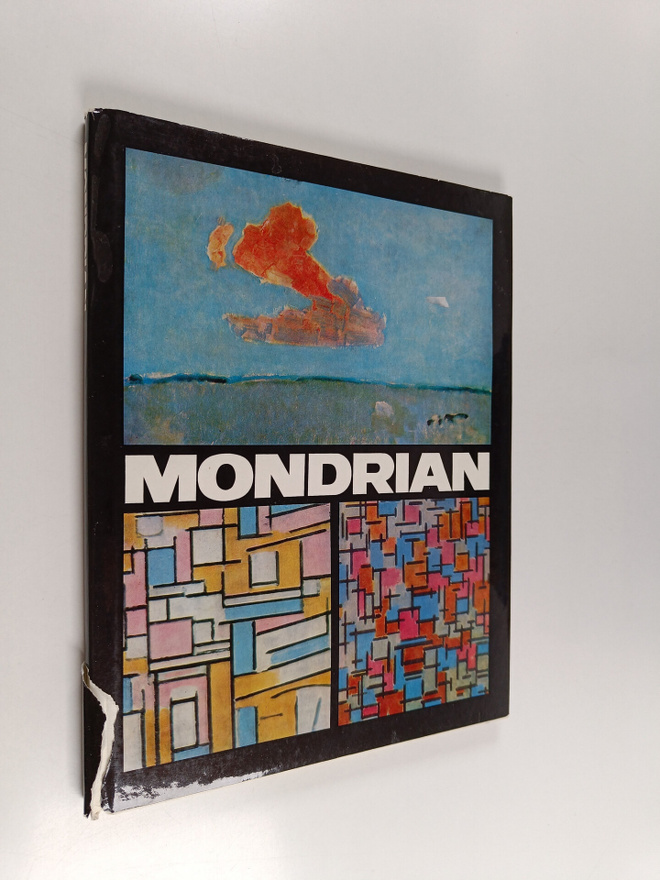 Victor I. Stoichita : Mondrian