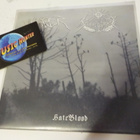 VORDR / HEIDENWELT M-/M- 7'' SPLIT SINGLE - pikkukuva 1