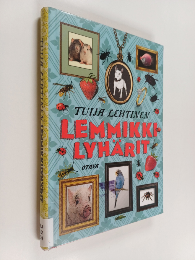 Tuija Lehtinen : Lemmikkilyhärit