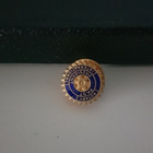 Rotary International Past President pinssi / merkki - pikkukuva 3